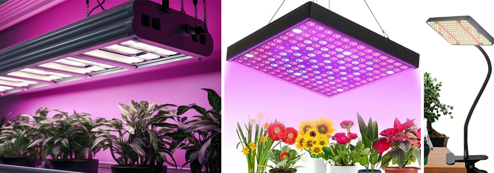 плата для выращивания света